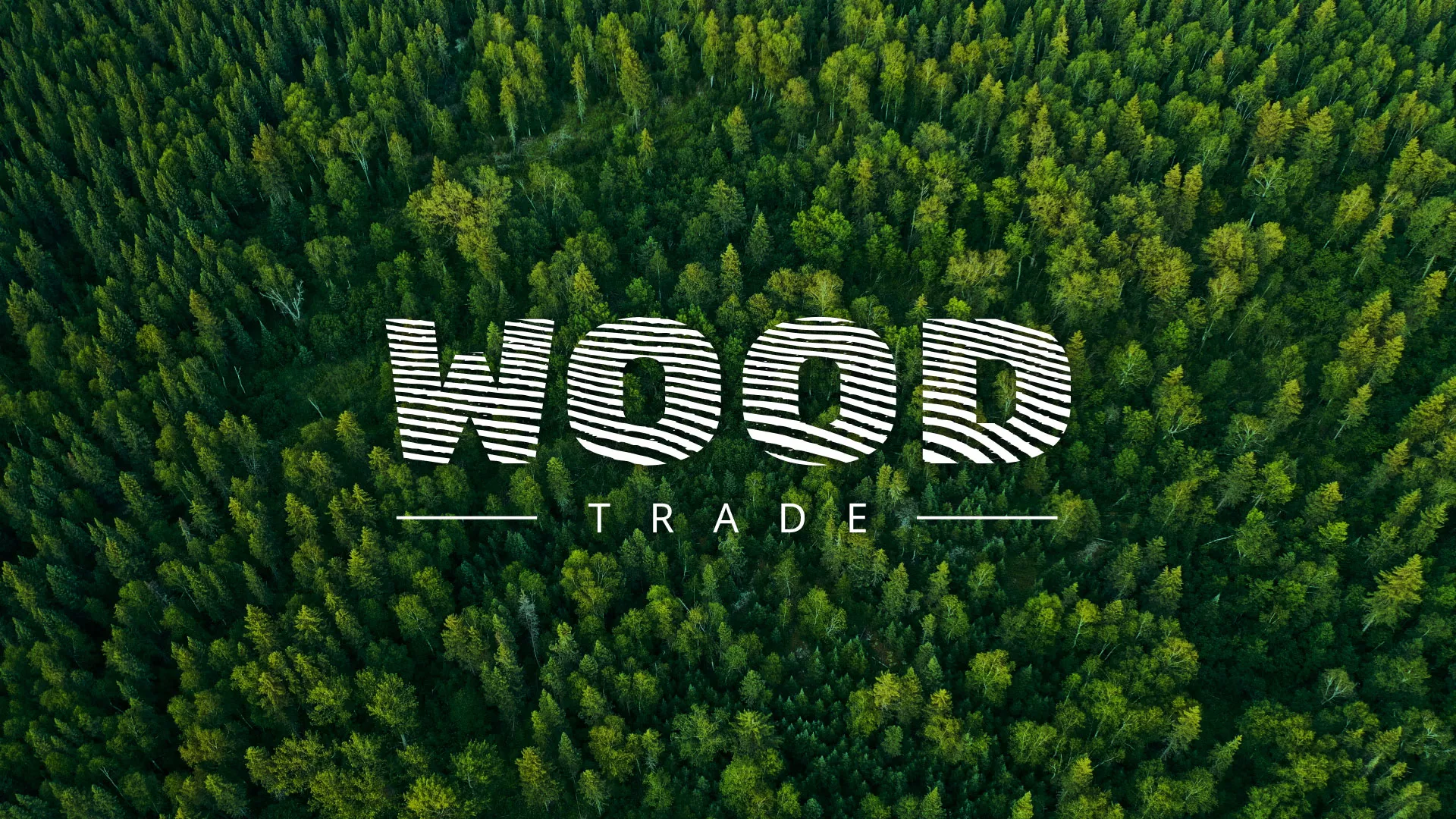 Разработка интернет-магазина компании «Wood Trade» в Котовске